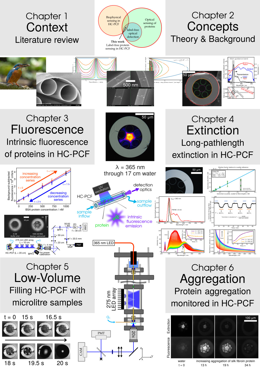 Graphical abstract